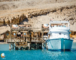 orange Bay orange Bay