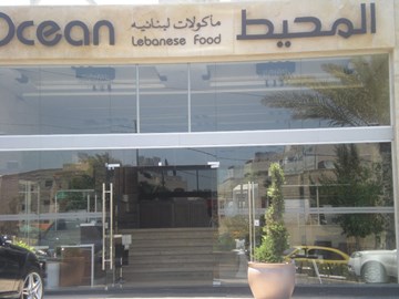 المحيط المحيط