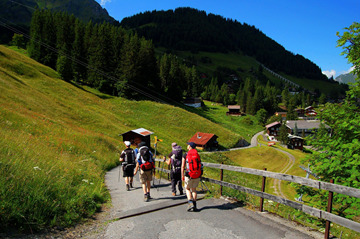 هاردر كولم هاردر كولم