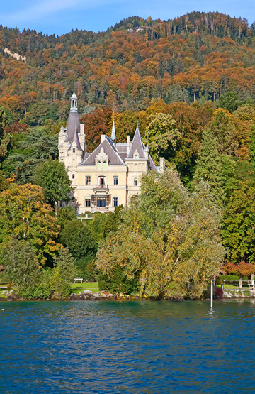 قلعة هونيغ قلعة هونيغ