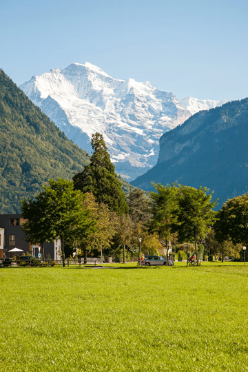 منتزه بارك الغموض منتزه بارك الغموض