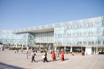 كينت ميداني كينت ميداني