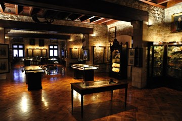 متحف فريديريك ماريس متحف فريديريك ماريس