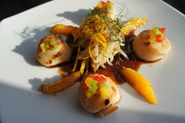 فيوجن21 فيوجن21