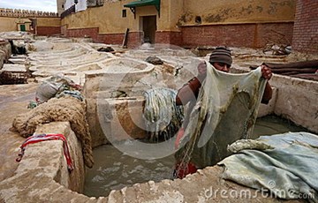 مدابغ الجلد مدابغ الجلد