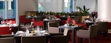 بورتو بيلو بورتو بيلو