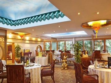 الحديقة الصّينيّة الحديقة الصّينيّة