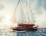 Pirates Floating Restaurants _ الغردقة Pirates Floating Restaurants _ الغردقة