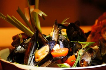 تشويسس تشويسس