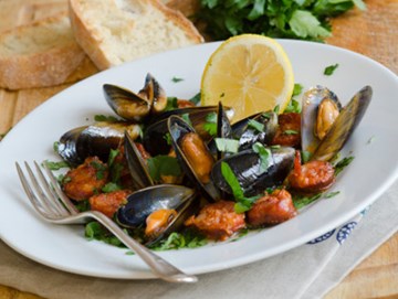 التمساح التمساح