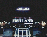 فيش لاند فيش لاند