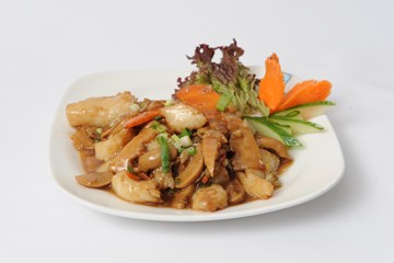 سيلك روتي سيلك روتي