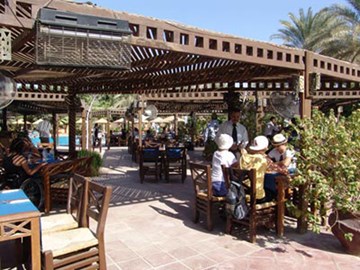 بالميرا بالميرا