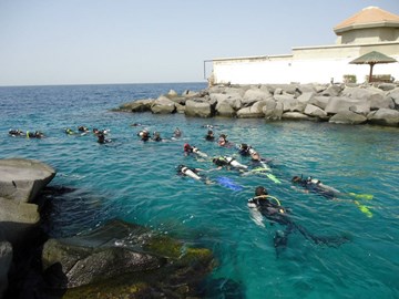 غواصين بحر الصحراء غواصين بحر الصحراء