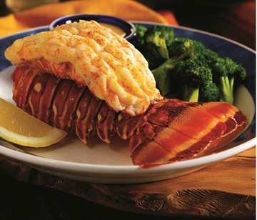 رد لوبستر رد لوبستر