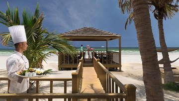 زانزي بار زانزي بار