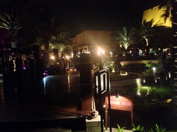 تريدر فيكس تريدر فيكس