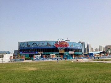 منتجع الدولفين منتجع الدولفين