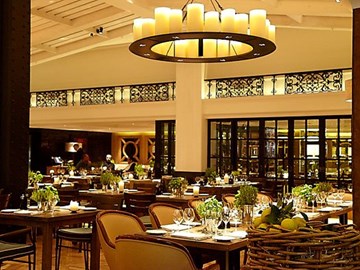 نوفيكوف نوفيكوف