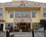 Lebanon's Flower Lebanon's Flower