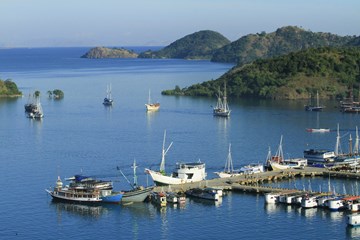 المجلس المجلس