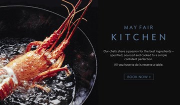 ماي فير كيتشن ماي فير كيتشن