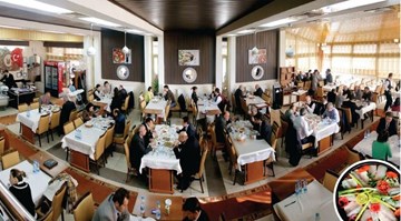 فيفزي هوجا فيفزي هوجا