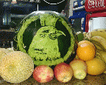 حورس كافيه