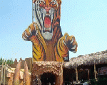 قرية الأسد