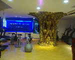 world gym elgiza