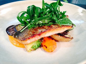 سيمبلي فوش سيمبلي فوش