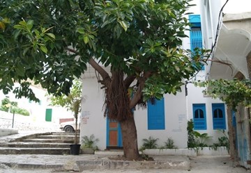 حصن السقالة حصن السقالة