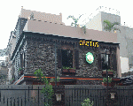 Cactus cafe