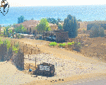 محمية وادي الجمال محمية وادي الجمال