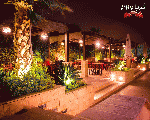 أندريا أندريا