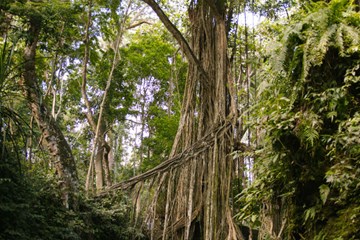 حديقة الحيوانات راغونان حديقة الحيوانات راغونان