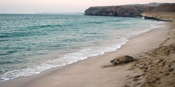 قرية رأس الجنز قرية رأس الجنز