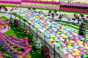 حديقة الزهور حديقة الزهور