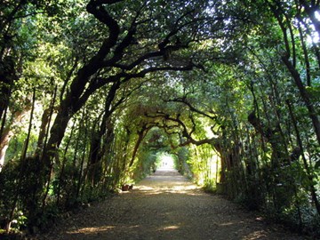 حدائق بوبولي حدائق بوبولي