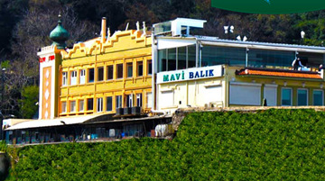 مافي باليك مافي باليك