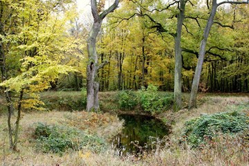 حديقة شونبرون للحيوانات حديقة شونبرون للحيوانات
