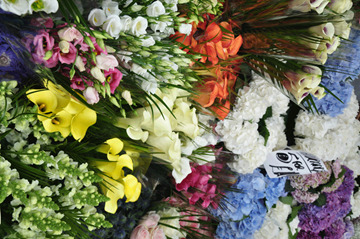 سوق كولومبيا راود للزهور سوق كولومبيا راود للزهور