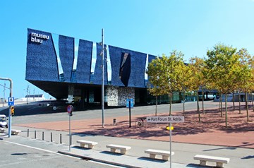 متحف بلاو متحف بلاو