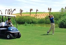 تاور لينكس للجولف تاور لينكس للجولف