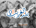 بلد الغريب بلد الغريب
