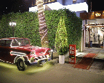 Tree Lounge Tree Lounge
