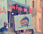 صن فيش صن فيش