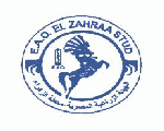 مدرسة الزهراء لتعليم الفروسية مدرسة الزهراء لتعليم الفروسية