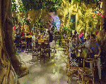 Jungle Restaurants Jungle Restaurants