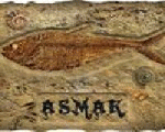 Asmak Restaurant Asmak Restaurant